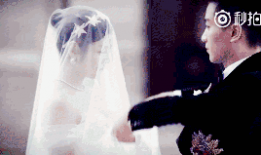 娱乐圈吃瓜陈晓微博,吃瓜群众热议不已